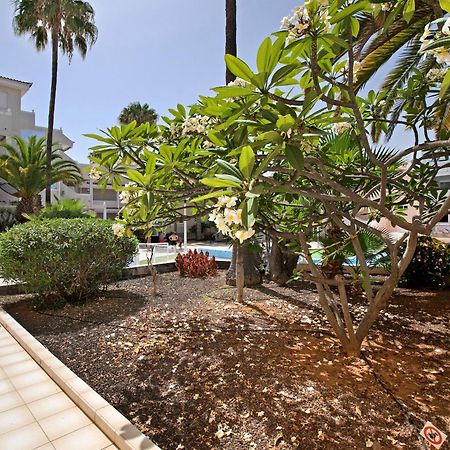 Appartamento Breeze Island Chayofa Esterno foto