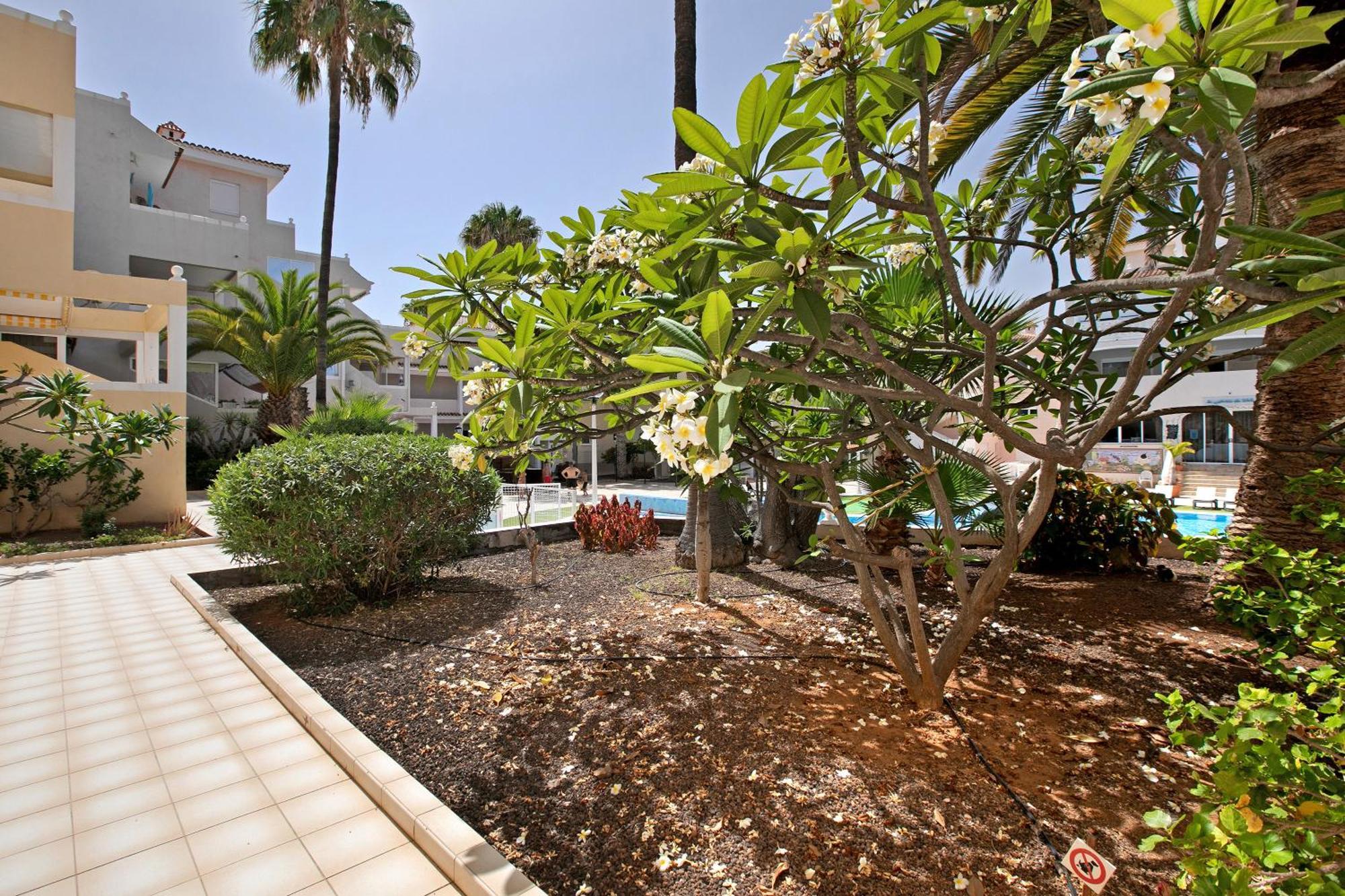 Appartamento Breeze Island Chayofa Esterno foto